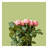   Rose Bouquet