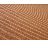   Wüste, Rippelmarke