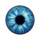   Eye, Black Eye, Iris, Pupil
