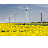   Rapsfeld, Alternative Energien, Windräder