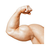   Strong, Muscular build, Bicep, Biceps