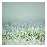   Gras, Frost, Raureif
