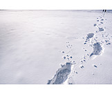   Snow, Footsteps