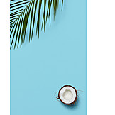   Coconut mark