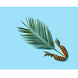   Tropical, Palm leaf, Pineapple