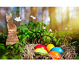   Spring, Easter Nest, Egg Hunt