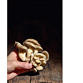   Mushroom, Hypsizygus tessellatus