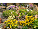   Garden, Rock Garden, Flower Bed