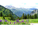   Mountain, Alpine Scenery
