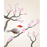   Bird, Cherry Blossom