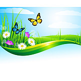   Butterfly, Flower Meadow, Spring