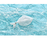   Sea, Fish, Pollution, Plastic Trash