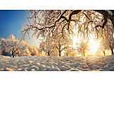   Winter Landscape, Winter Sun