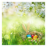   Easter, Easter Nest, Easter Time