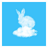   Cloudscape, Rabbit, Illusion