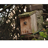   Bird, Birdhouse