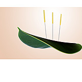   Acupuncture, Acupuncture Needle