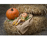   Autumn, Vegetable, Thanksgiving, Harvest