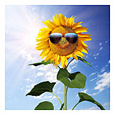   Summer, Sunflower, Sunglasses, Sunny