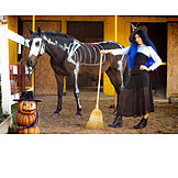   Pferd, Verkleidung, Hexe, Halloween