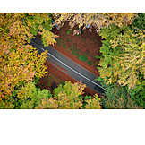   Aerial View, Trees, Street