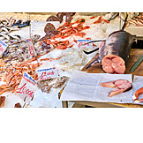   Fish, Seafood, Fish Market, Salmon