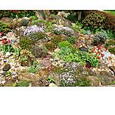   Garden, Rock Garden, Landscape Gardening