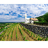   Agriculture, Wine Region