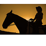   Sunset, Silhouette, Horse, Horsewoman
