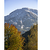   Berg, Winter, Alpen