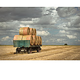   Agriculture, Straw Bales, Straw Harvesting