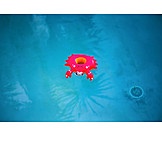   Crab, Pool, Swim ring