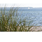   Beach, Coast, Baltic Sea
