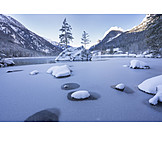   Winter, Winter Landscape, Behind Lake