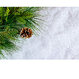   Winter, Snow, Pine Cone, Needle Branch