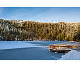  Winter, Black Forest, Mummel Lake