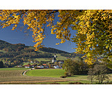   Upper Bavaria, Berchtesgadener Land, Meadow