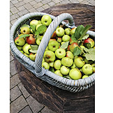   Basket, Harvest, Apples