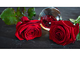   Rote Rose, Glaskugel