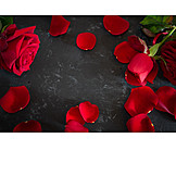   Decoration, Valentine's Day, Rose Leaves
