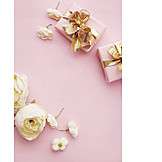   Surprise, Pink, Gift
