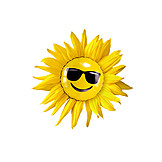   Sunflower, Sunshine, Smiley