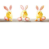   Easter, Chicks, Rabbit Ears, Springtime