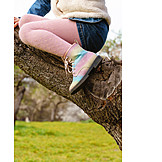   Tree, Climbing, Childhood, Pantyhose