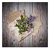   Flowers, Forget-me-not, Spring Flowers, Bouquet, Envelope