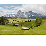   Mountain Range, Dolomites, Mountain Meadow, Seiser Alm