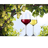   Wine, Red Wine, White Wine, Wine Sites