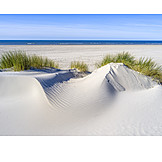   Beach, Dune