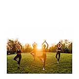   Meadow, Balance, Yoga, Sports Group