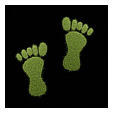   Footprint, Lifestyles, Ecological Footprint